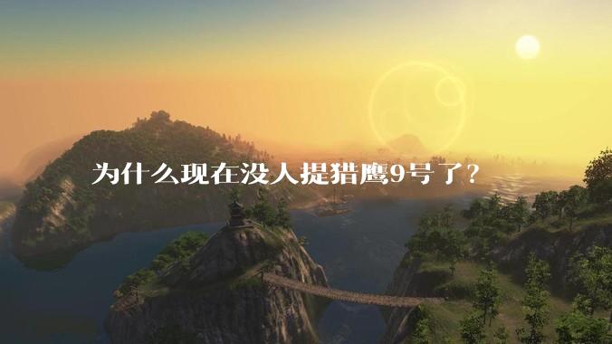 为什么现在没人提猎鹰9号了？