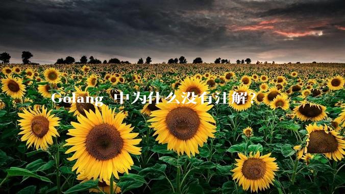 Golang 中为什么没有注解？