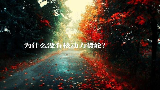 为什么没有核动力货轮？