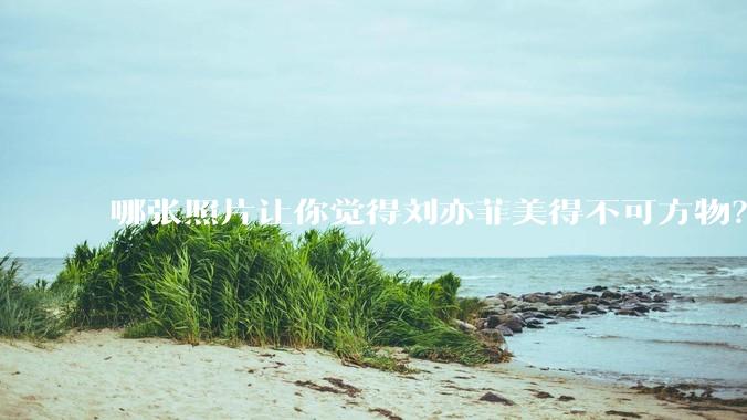 哪张照片让你觉得刘亦菲美得不可方物？