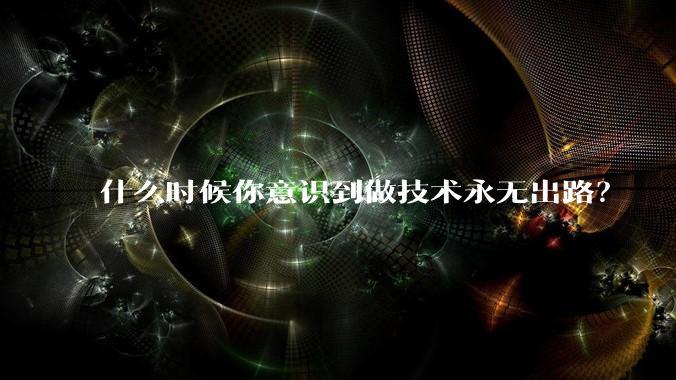 什么时候你意识到做技术永无出路？