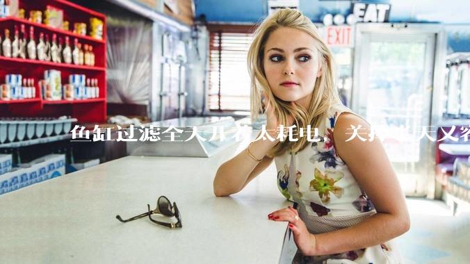 鱼缸过滤全天开着太耗电，关掉半天又容易水浑，有什么好办法？