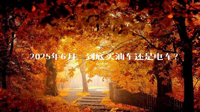 2025年6月，到底买油车还是电车？