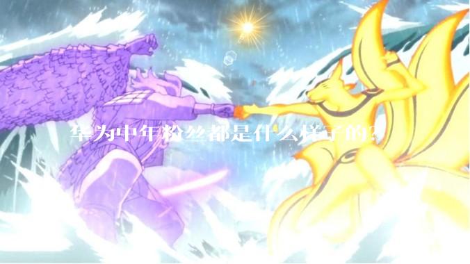华为中年粉丝都是什么样子的？